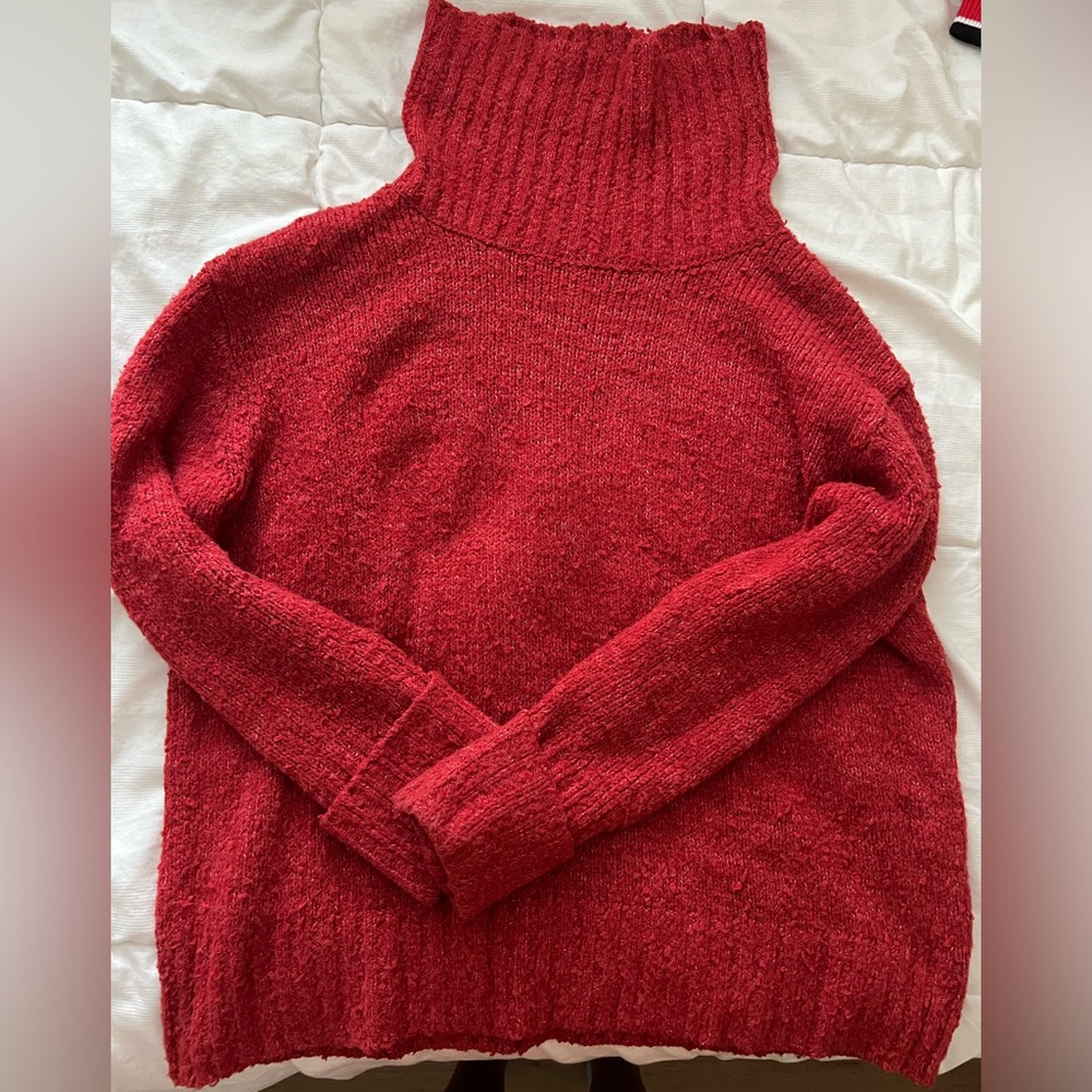 Comfy Brick Red Turtleneck Sweater
